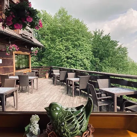 Hubertowka Pod Jaworzem Ξενοδοχείο Zmiaca