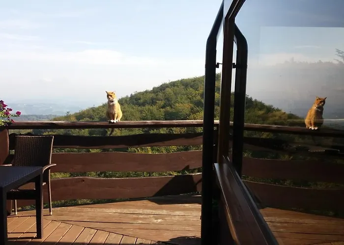 Hotell Hubertowka Pod Jaworzem Zmiaca